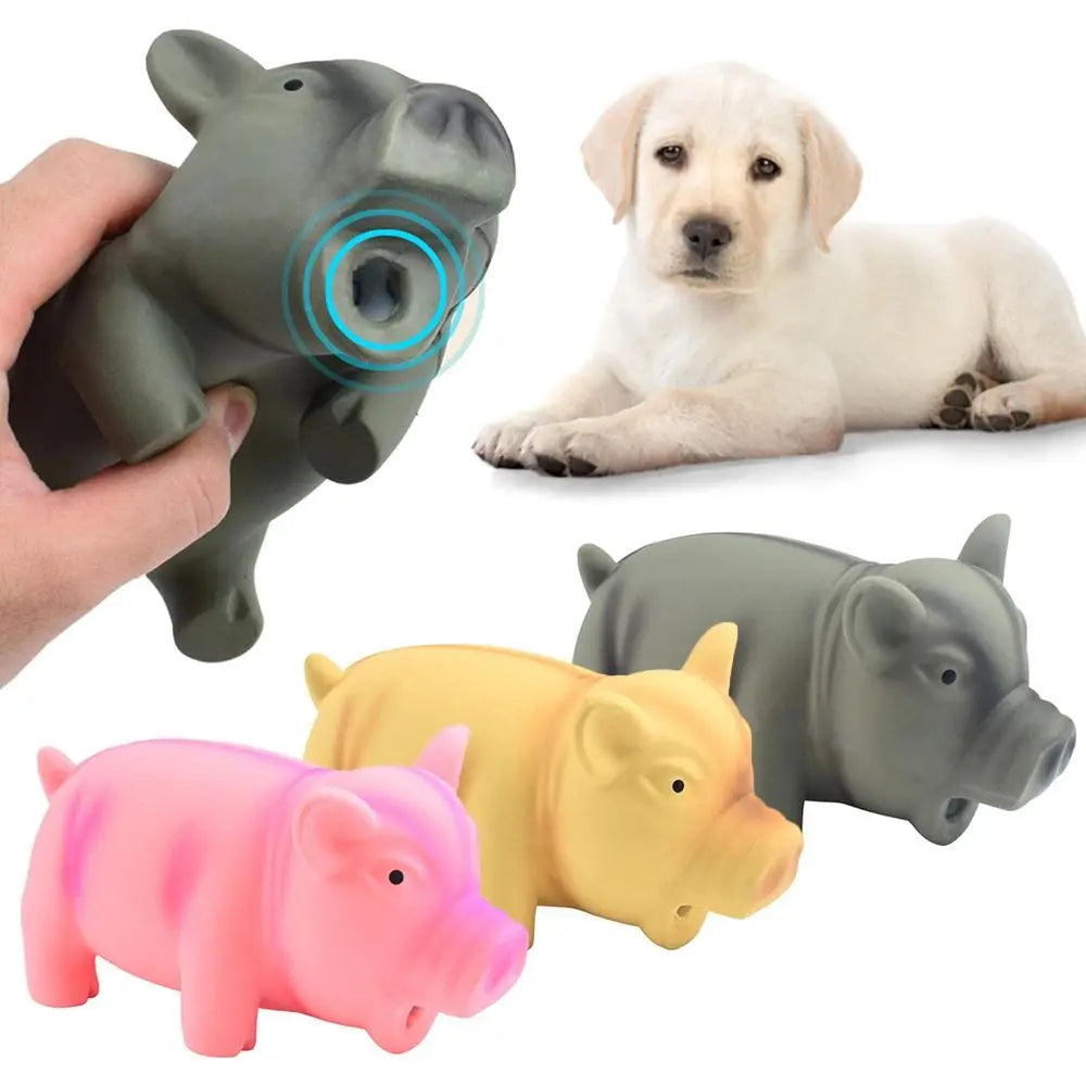 “Latex Squeaky Pig Chew Toy – Grunting Dog Toy for Dental Health & Fun”