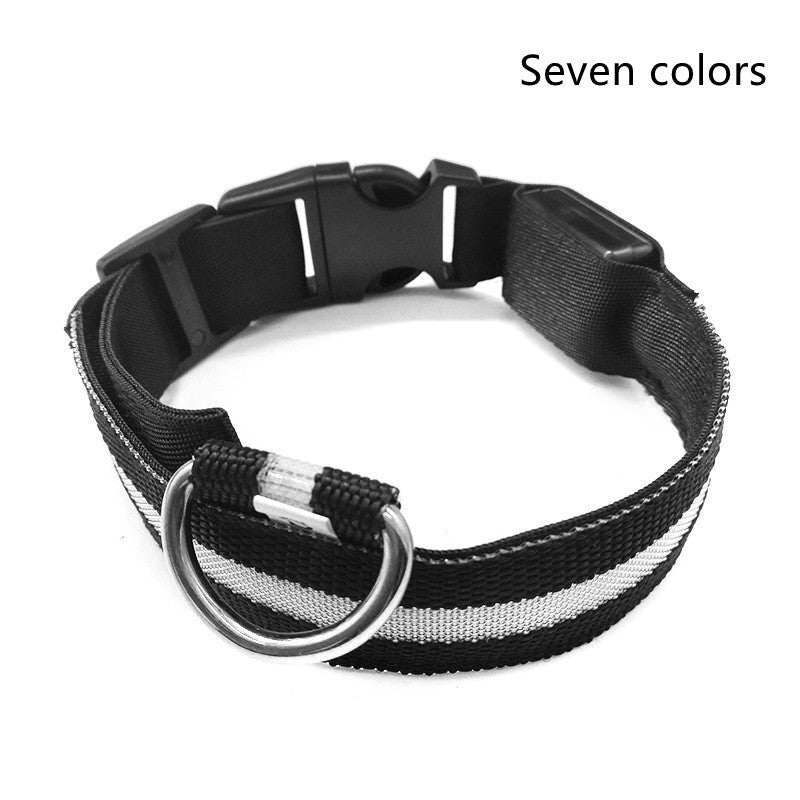LED Safety Dog Collar – USB & Battery Powered Night Visibility
