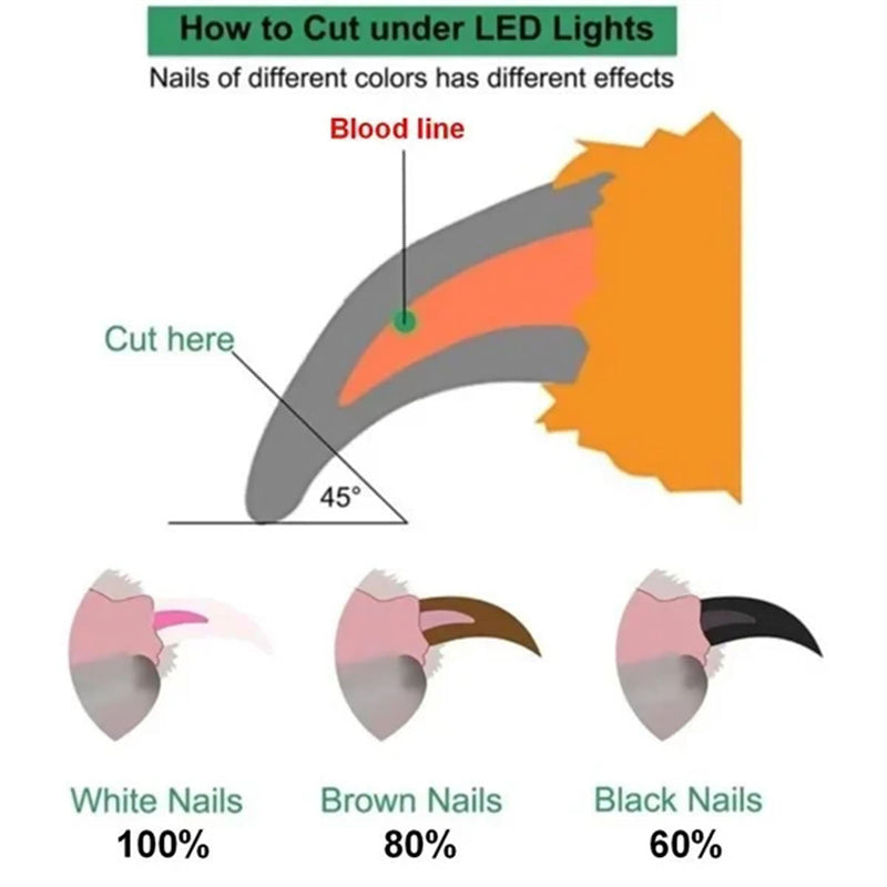 LED Pet Nail Clipper with Nail File & Collector – Safe Grooming for Cats & Dogs
