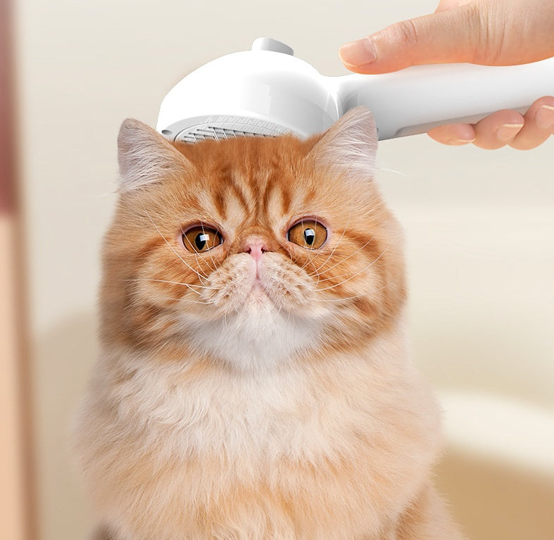 RK56 Self-Cleaning Pet Brush with Mist Spray – Detangle & Hydrate
