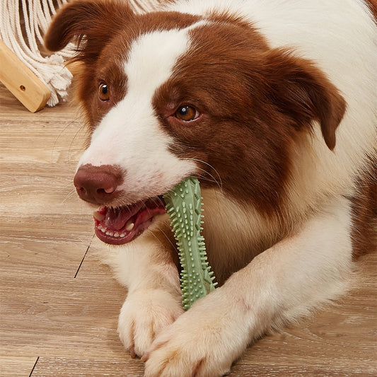 Hexagon Dog Chew Toy – Teeth Cleaning & Anxiety Relief for Puppies – grooming kit
