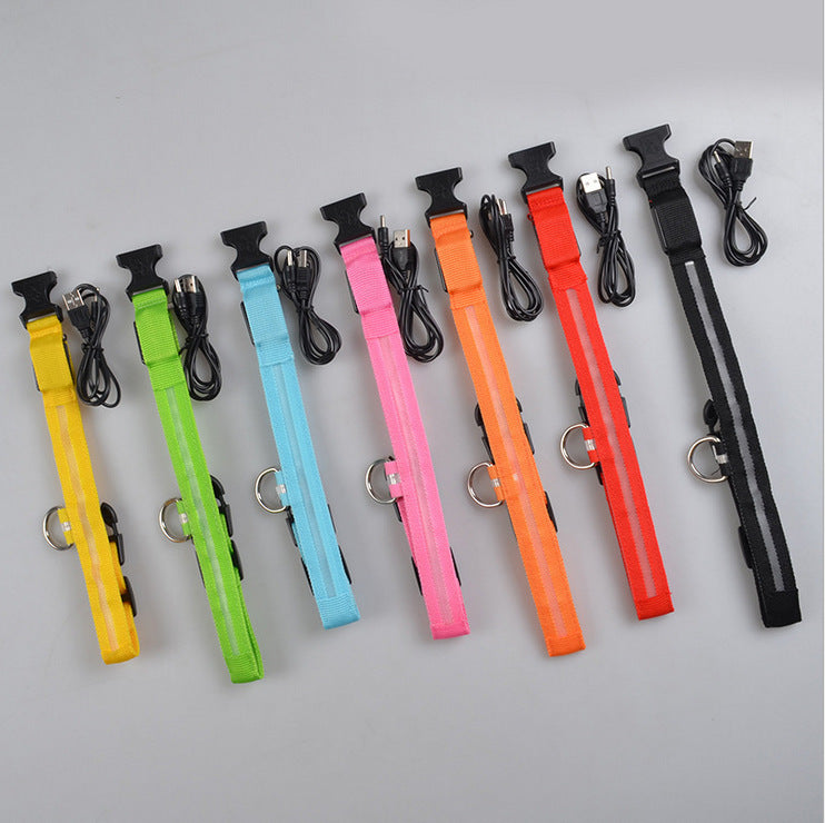LED Safety Dog Collar – USB & Battery Powered Night Visibility
