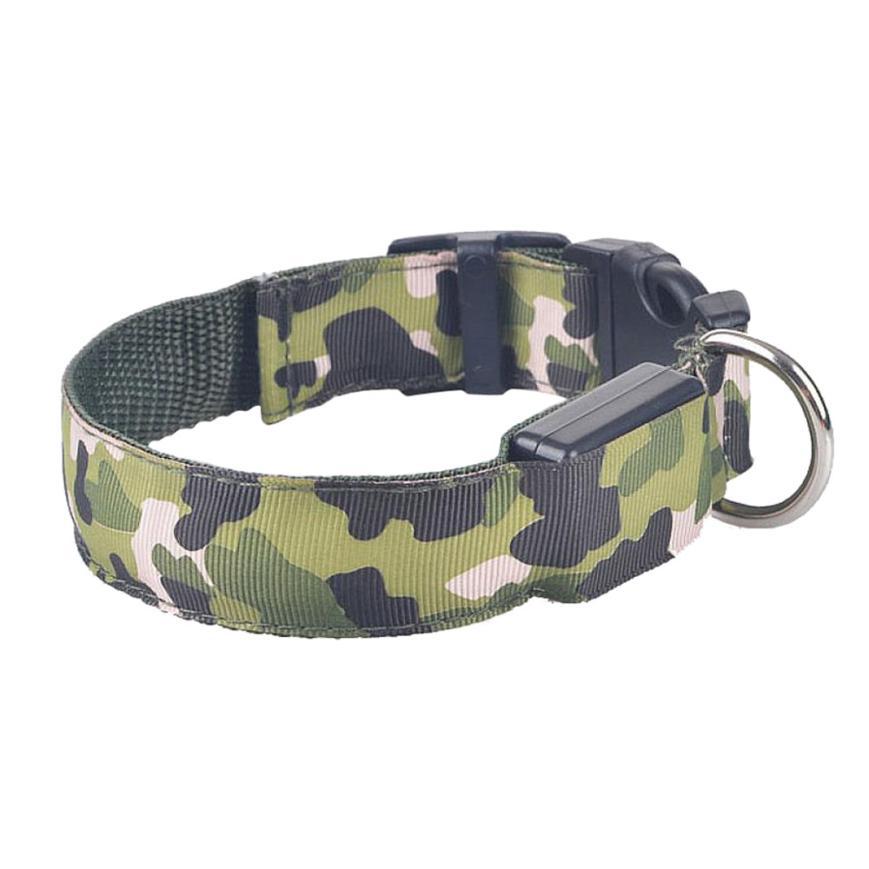 LED Light-Up Dog Collar – USB Safety Night Collar with 3 Flash Modes