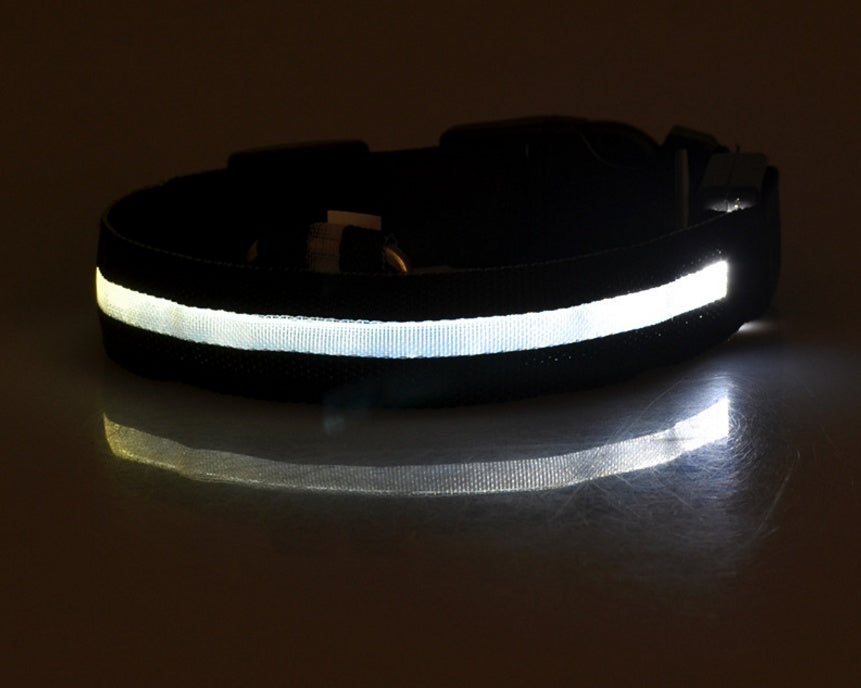LED Safety Dog Collar – USB & Battery Powered Night Visibility