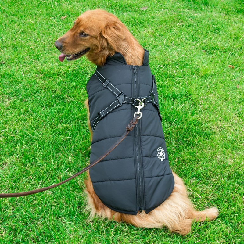 Waterproof Cotton Dog Harness Vest – Stylish Chest Strap (S–2XL)