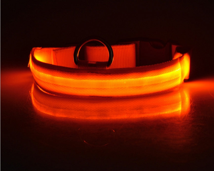 LED Safety Dog Collar – USB & Battery Powered Night Visibility