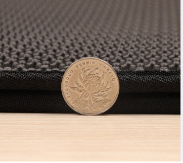 Cat Litter Mat – Waterproof, Dirtproof & Easy-to-Clean Floor Protector