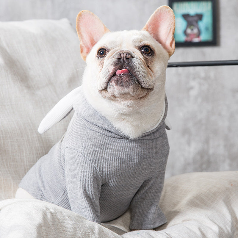 High-Quality Dog Sweater – Lightweight Knit for Small & Medium Dogs (Fall & Winter Wear)