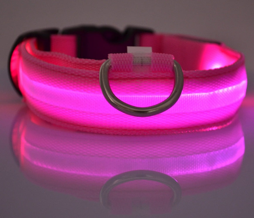 LED Safety Dog Collar – USB & Battery Powered Night Visibility