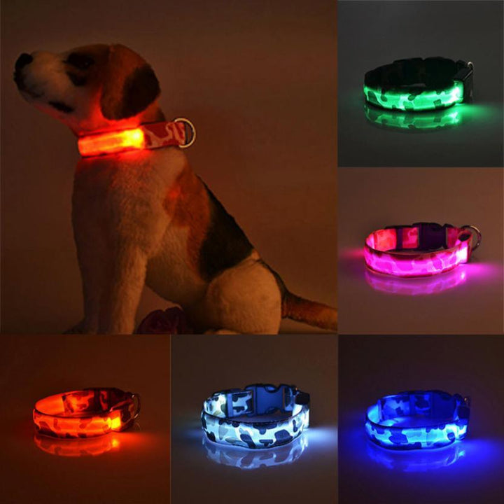 LED Light-Up Dog Collar – USB Safety Night Collar with 3 Flash Modes – grooming kit