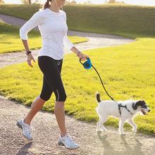 Retractable Leash with One-Hand Brake – Safe Walks for Small Dogs & Cats