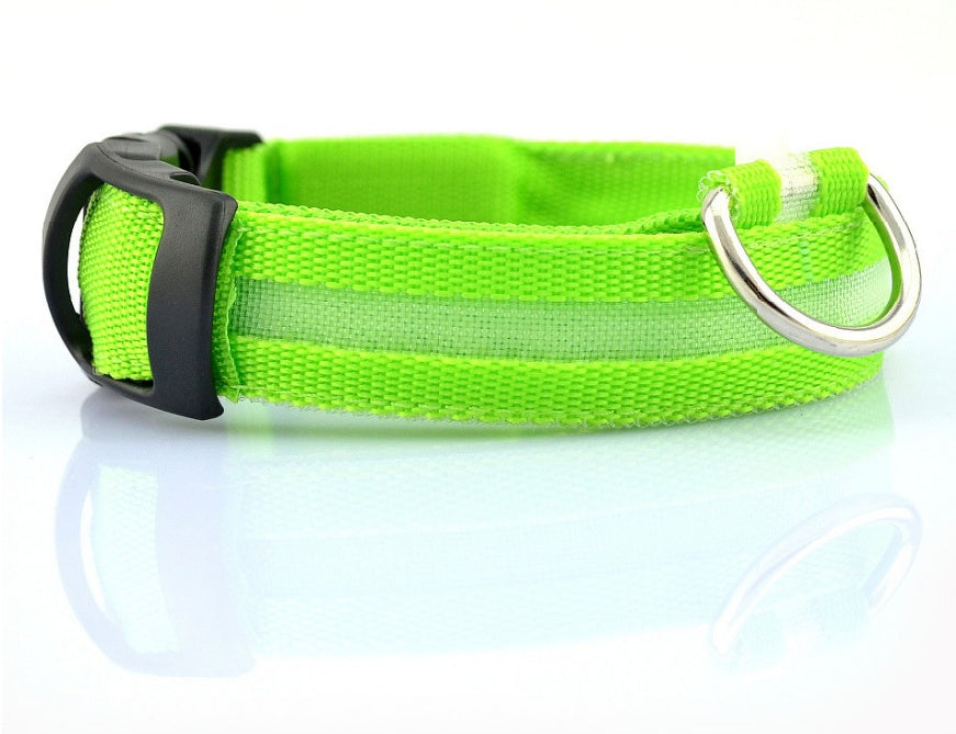 LED Safety Dog Collar – USB & Battery Powered Night Visibility