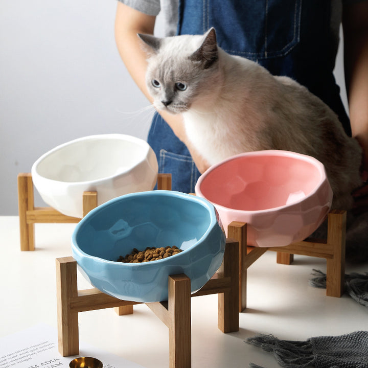 Ergonomic Tilted Pet Bowl – Anti-Vomit & Neck-Friendly Cat & Dog Dish – grooming kit