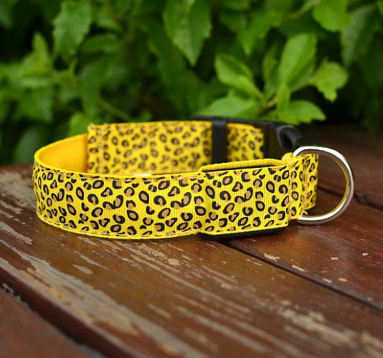 LED Safety Dog Collar – High-Visibility Night Light Collar with 4 Flash Modes