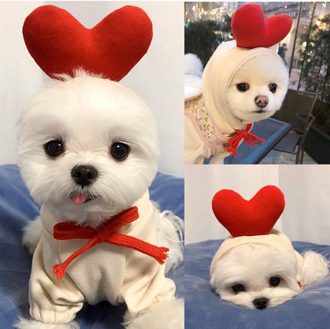 Cozy Fruit Hoodie for Dogs – Cute Winter Pet Sweater for Small & Medium Breeds