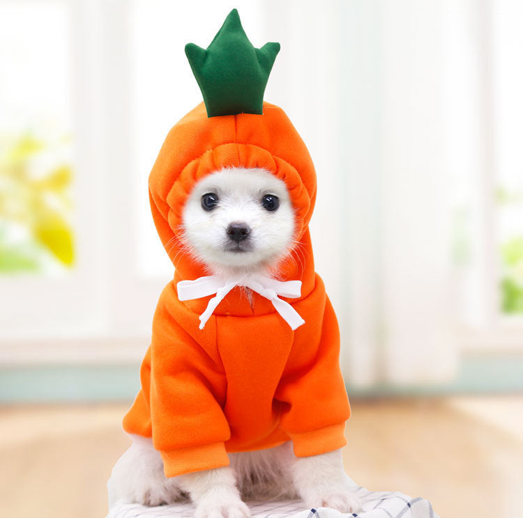 Cozy Fruit Hoodie for Dogs – Cute Winter Pet Sweater for Small & Medium Breeds