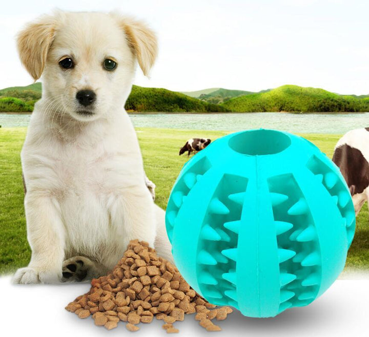 Silicone Dog Treat Ball – Chew Toy & Teeth Cleaning Dispenser – grooming kit