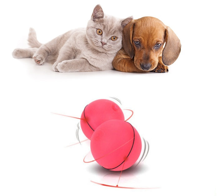 360° Rotating Cat Ball Toy with LED Lights, Feather, Bell & Catnip – USB Rechargeable – grooming kit