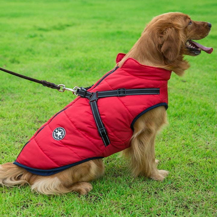 Waterproof Cotton Dog Harness Vest – Stylish Chest Strap (S–2XL) – grooming kit