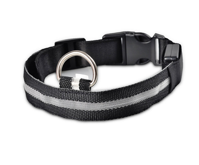 LED Safety Dog Collar – USB & Battery Powered Night Visibility