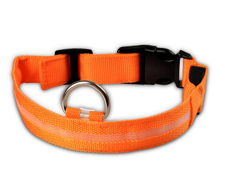 LED Safety Dog Collar – USB & Battery Powered Night Visibility
