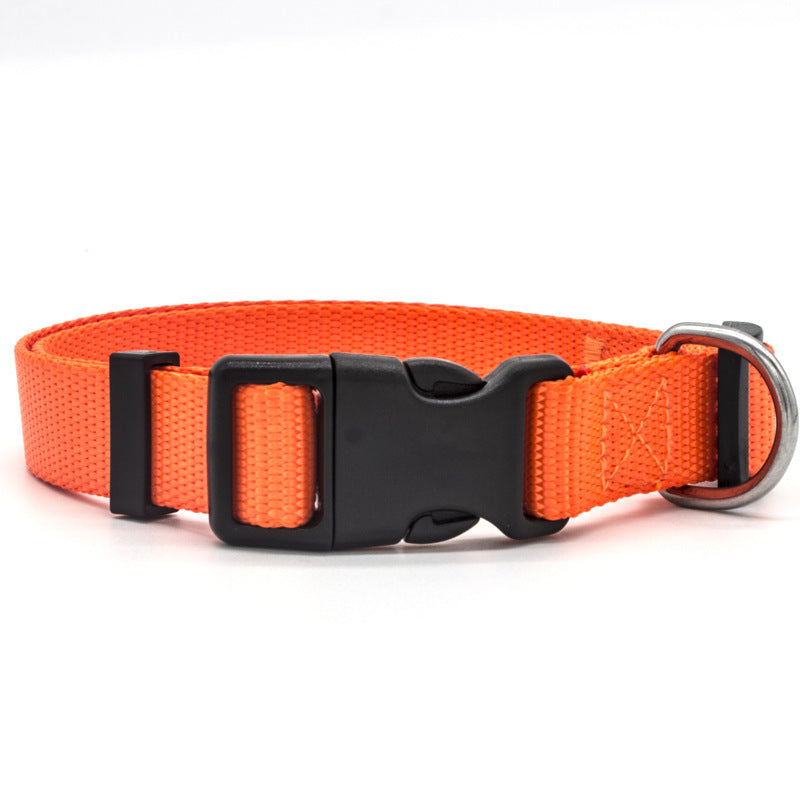 Adjustable Soft Nylon Pet Collar – Comfortable & Durable for Dogs and Cats – grooming kit