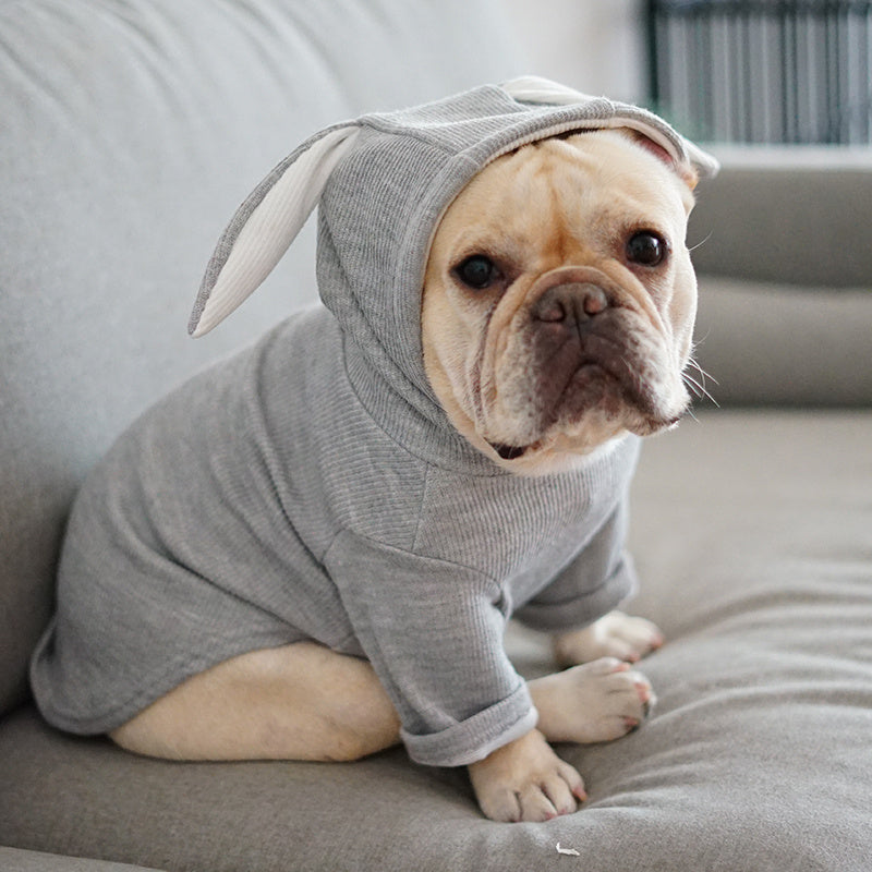 High-Quality Dog Sweater – Lightweight Knit for Small & Medium Dogs (Fall & Winter Wear)