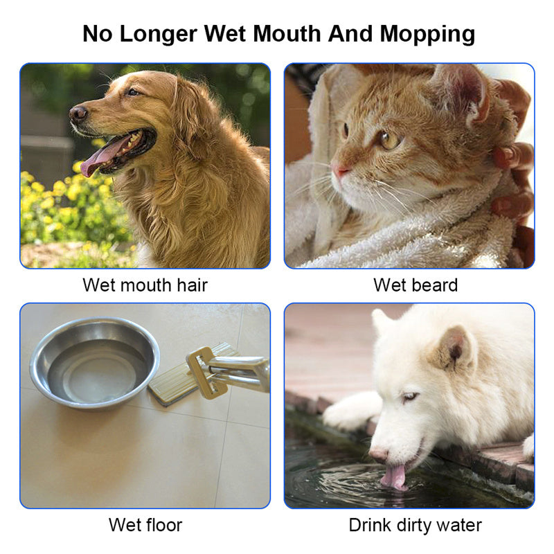 1.5L Floating Pet Water Bowl – No-Spill Slow Feeder for Cats & Dogs – grooming kit