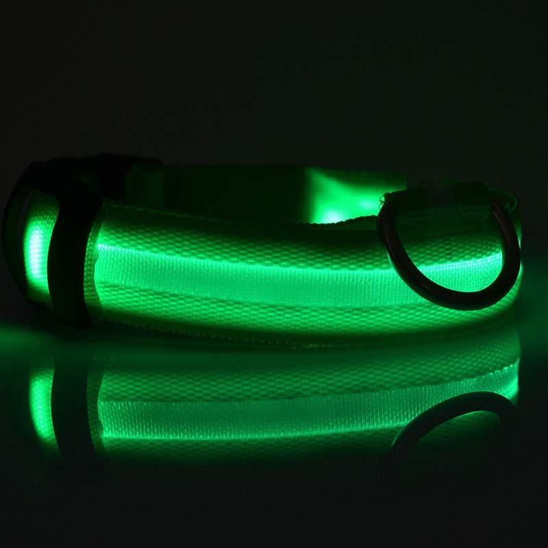 LED Safety Dog Collar – USB & Battery Powered Night Visibility
