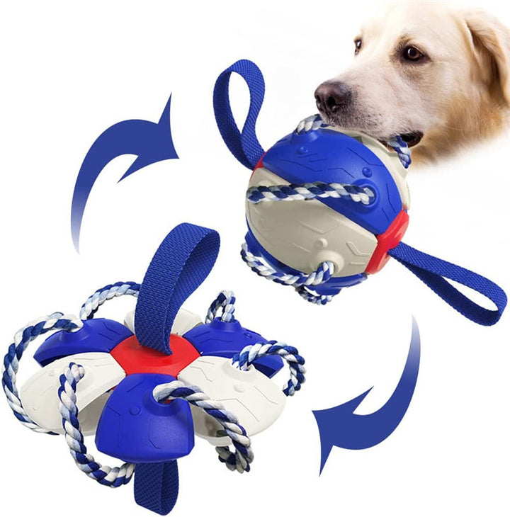 2-in-1 Transforming Frisbee Ball Toy for Dogs – Teething, Tug, Fetch & Water Play – grooming kit
