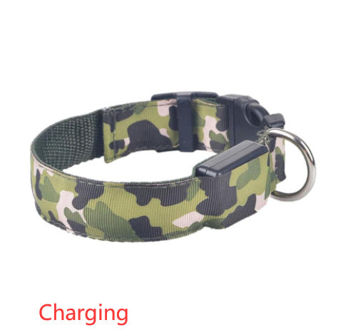 LED Light-Up Dog Collar – USB Safety Night Collar with 3 Flash Modes