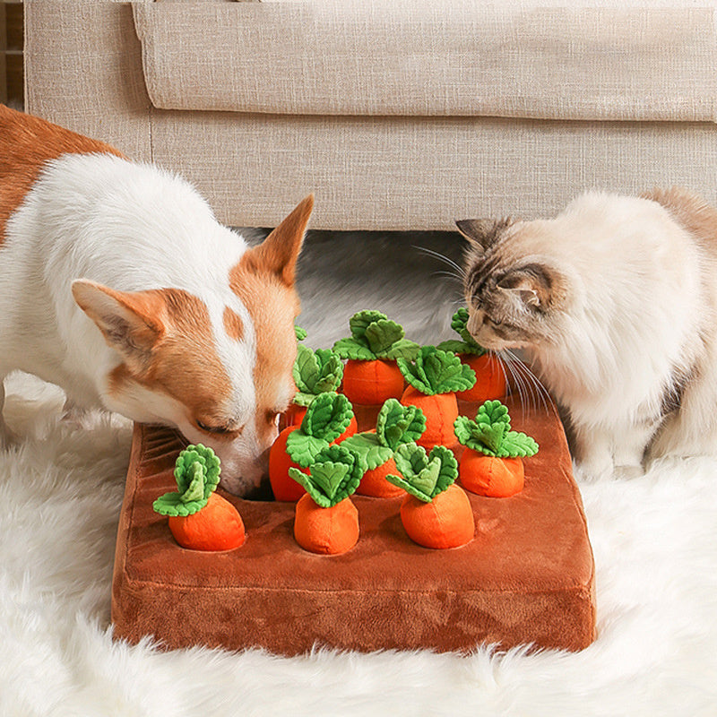Interactive Carrot Pulling Snuffle Toy Mat for Dogs & Cats – IQ Training Play
