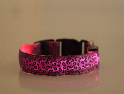 LED Safety Dog Collar – High-Visibility Night Light Collar with 4 Flash Modes
