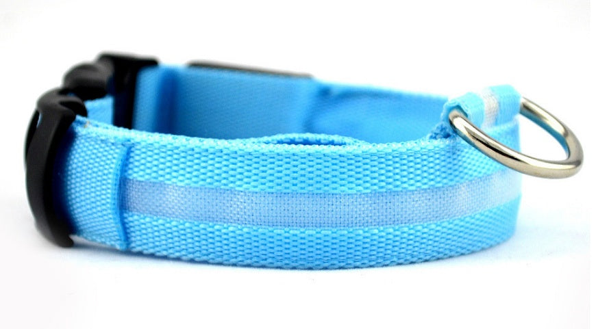 LED Safety Dog Collar – USB & Battery Powered Night Visibility