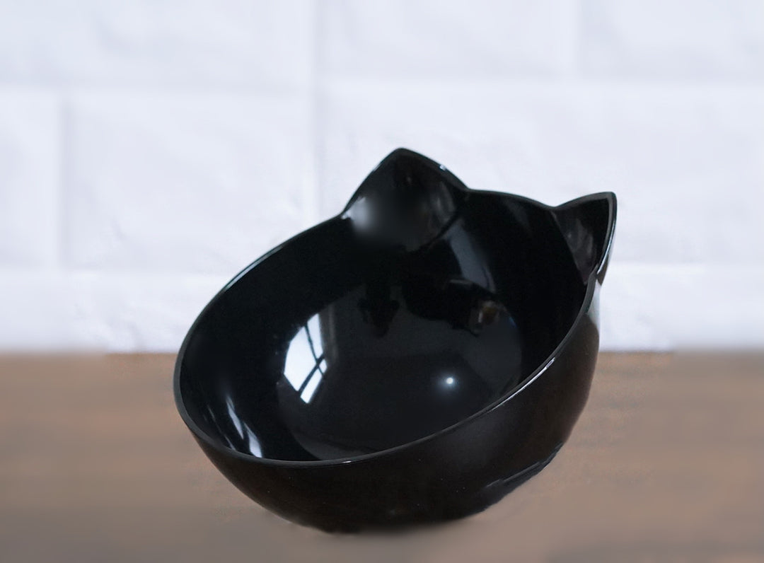 Ergonomic Cat Feeding Bowl – Tilted Transparent Design (Single or Double)
