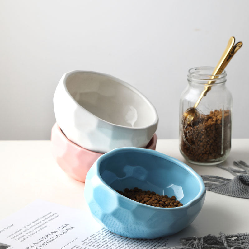 Ergonomic Tilted Pet Bowl – Anti-Vomit & Neck-Friendly Cat & Dog Dish