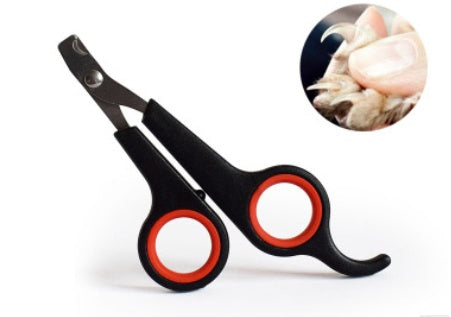Stainless Steel Pet Grooming Scissors – Precision Nail & Fur Trimming Tool – grooming kit