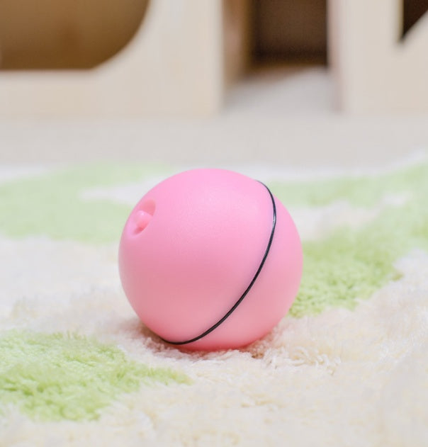 360° Rotating Cat Ball Toy with LED Lights, Feather, Bell & Catnip – USB Rechargeable – grooming kit