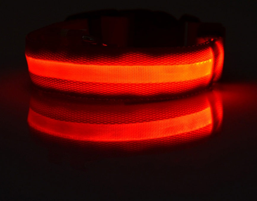 LED Safety Dog Collar – USB & Battery Powered Night Visibility