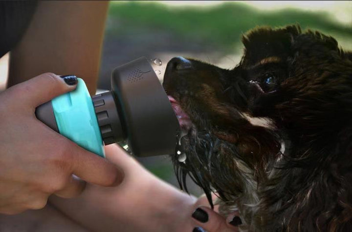 2-in-1 Portable Dog Water Bottle & Bowl – Leak-Proof, BPA-Free, 520ml – grooming kit