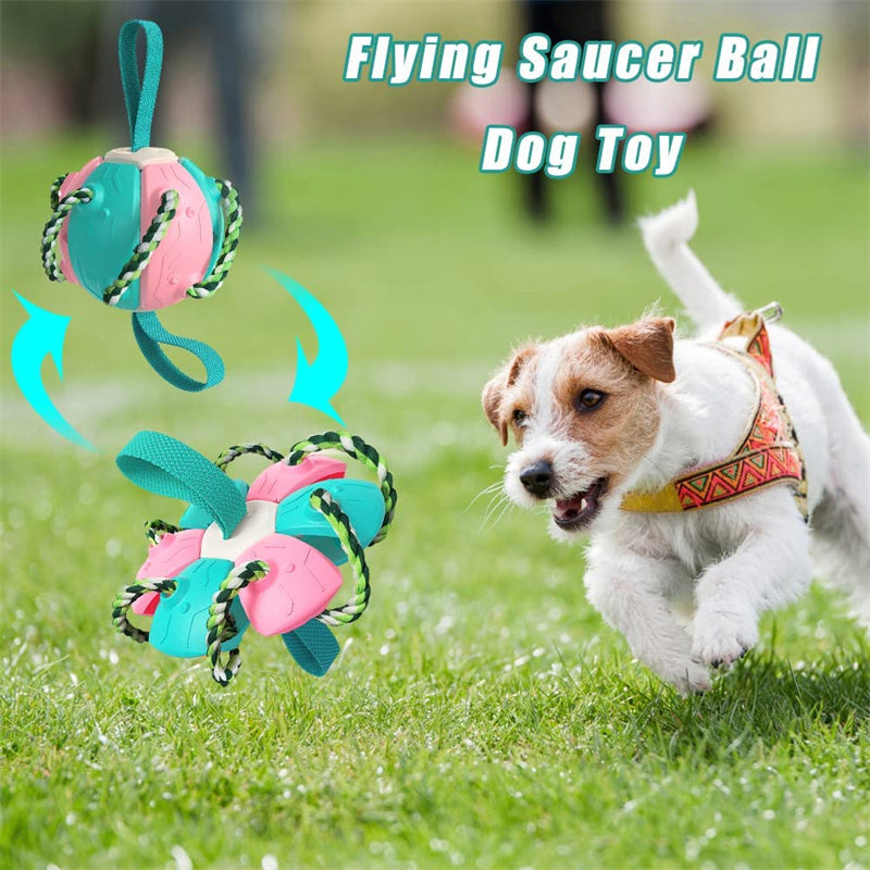2-in-1 Transforming Frisbee Ball Toy for Dogs – Teething, Tug, Fetch & Water Play – grooming kit