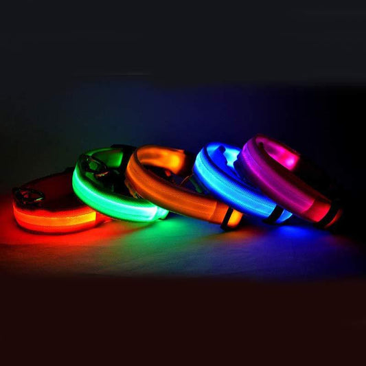 LED Safety Dog Collar – USB & Battery Powered Night Visibility – grooming kit