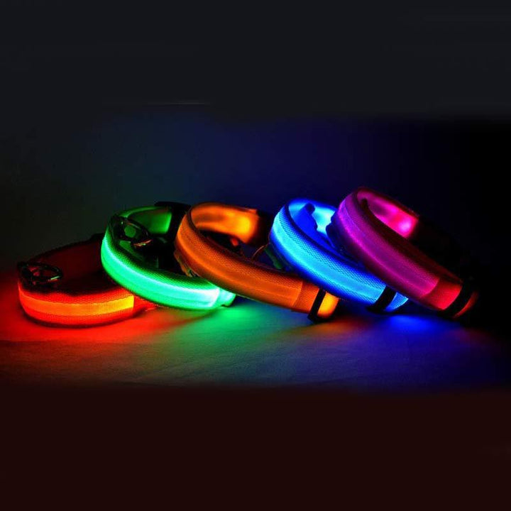 LED Safety Dog Collar – USB & Battery Powered Night Visibility – grooming kit