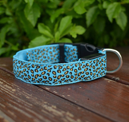 LED Safety Dog Collar – High-Visibility Night Light Collar with 4 Flash Modes