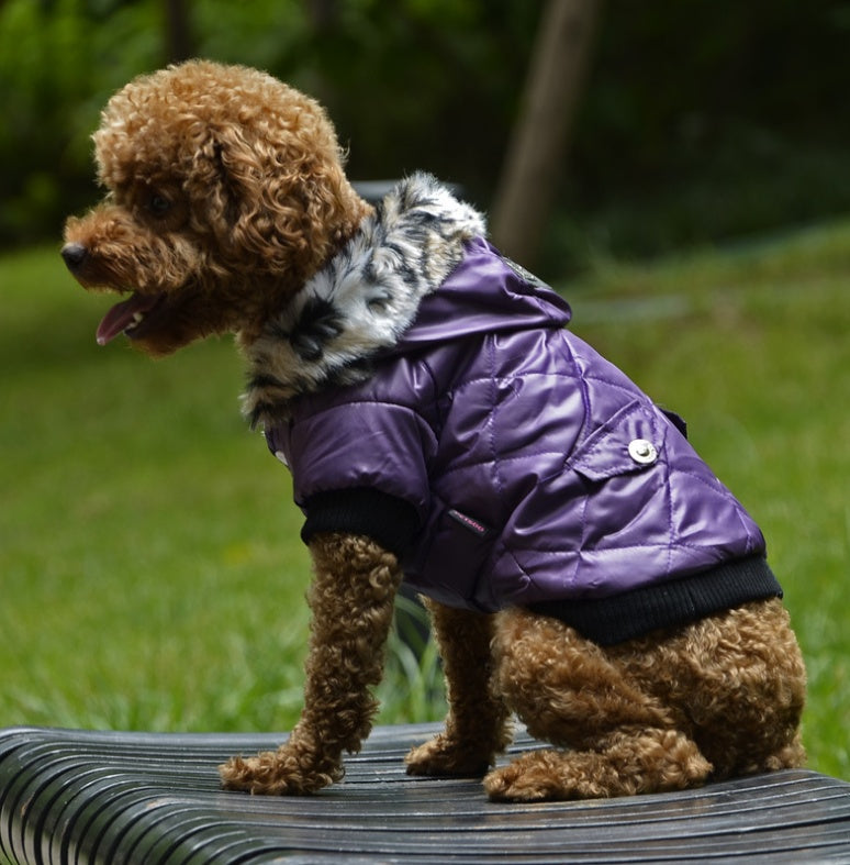 Korean Style Dog Hoodie – Fleece Winter Coat for Small & Medium Dogs