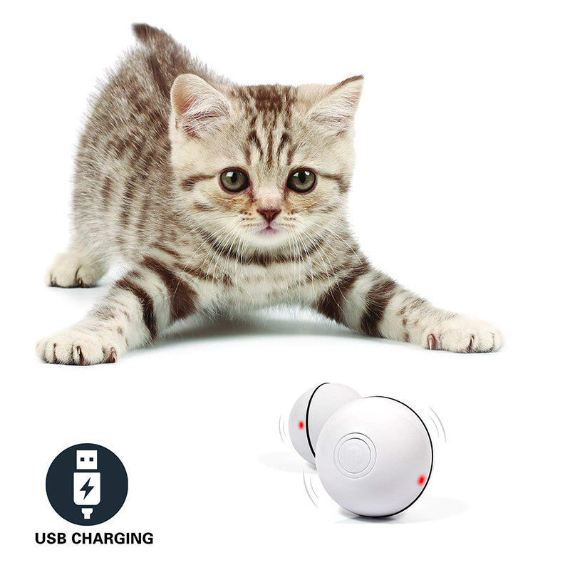 360° Rotating Cat Ball Toy with LED Lights, Feather, Bell & Catnip – USB Rechargeable – grooming kit