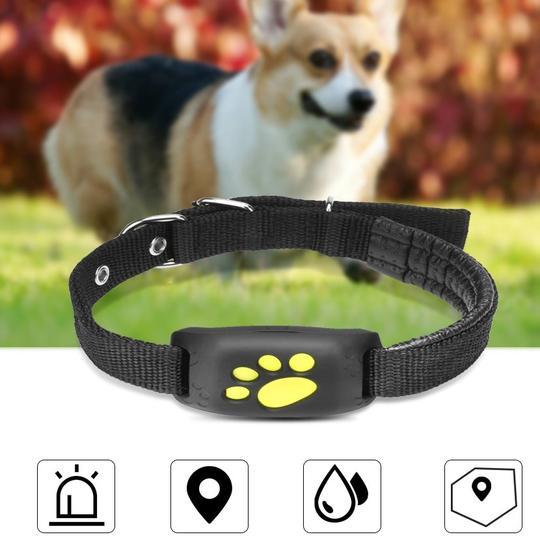 Z8-A GPS Pet Tracker – Waterproof Real-Time Location for Dogs & Cats – grooming kit