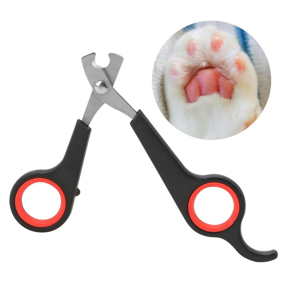 Stainless Steel Pet Grooming Scissors – Precision Nail & Fur Trimming Tool