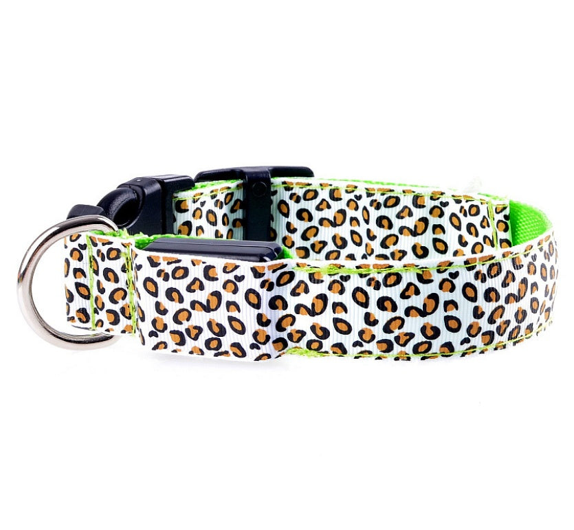 LED Safety Dog Collar – High-Visibility Night Light Collar with 4 Flash Modes