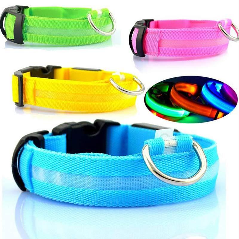 LED Safety Dog Collar – USB & Battery Powered Night Visibility